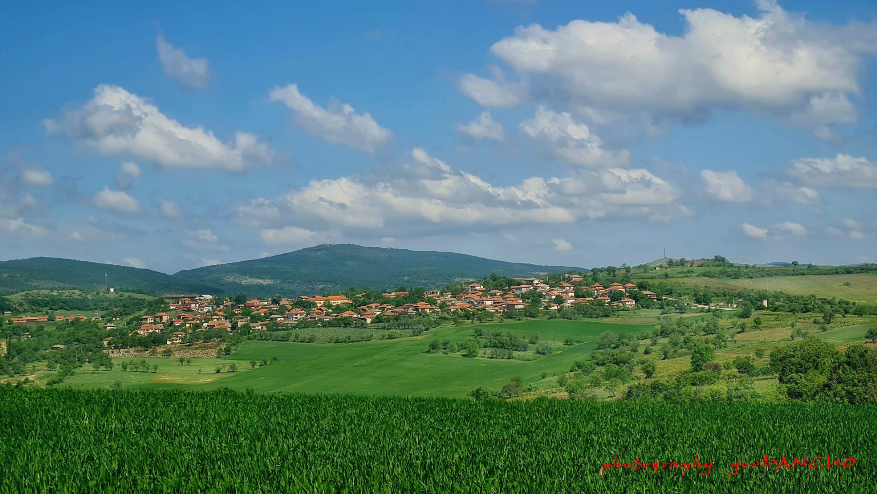 Read more about the article Банкова сметка за дарения в подкрепа на събора в село Свирачи
